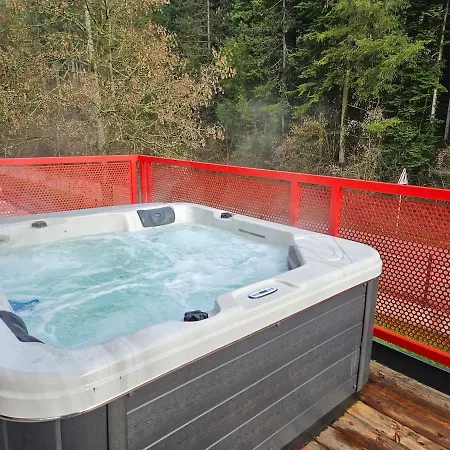 Spacieux Avec Jacuzzi Et Sauna アパート レンバッハ