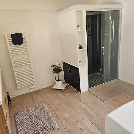 Spacieux Avec Jacuzzi Et Sauna レンバッハ