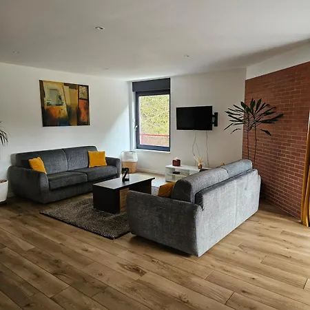 Spacieux Avec Jacuzzi Et Sauna レンバッハ