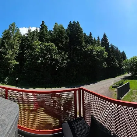 Spacieux Avec Jacuzzi Et Sauna * レンバッハ